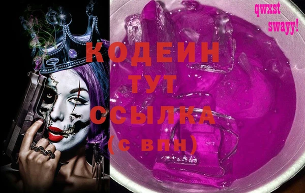 молекула духа Няндома