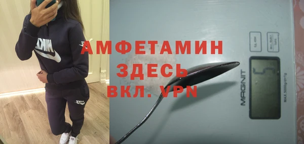 молекула духа Няндома