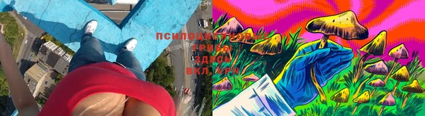 соль ск Нягань