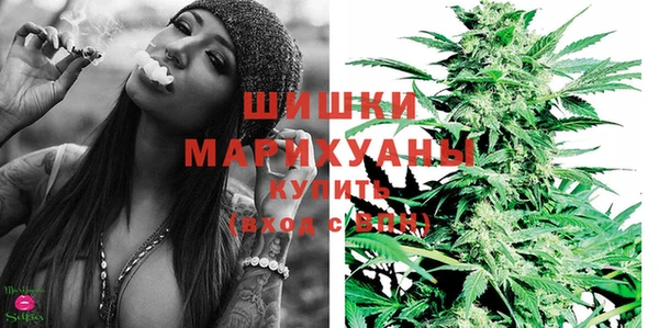 молекула духа Няндома