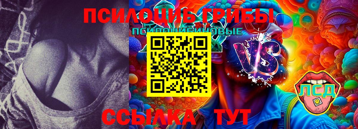 Галлюциногенные грибы GOLDEN TEACHER Борзя