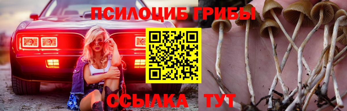 Галлюциногенные грибы Psilocybe  Вход с VPN  Псилоцибиновые грибы Cubensis  Борзя 